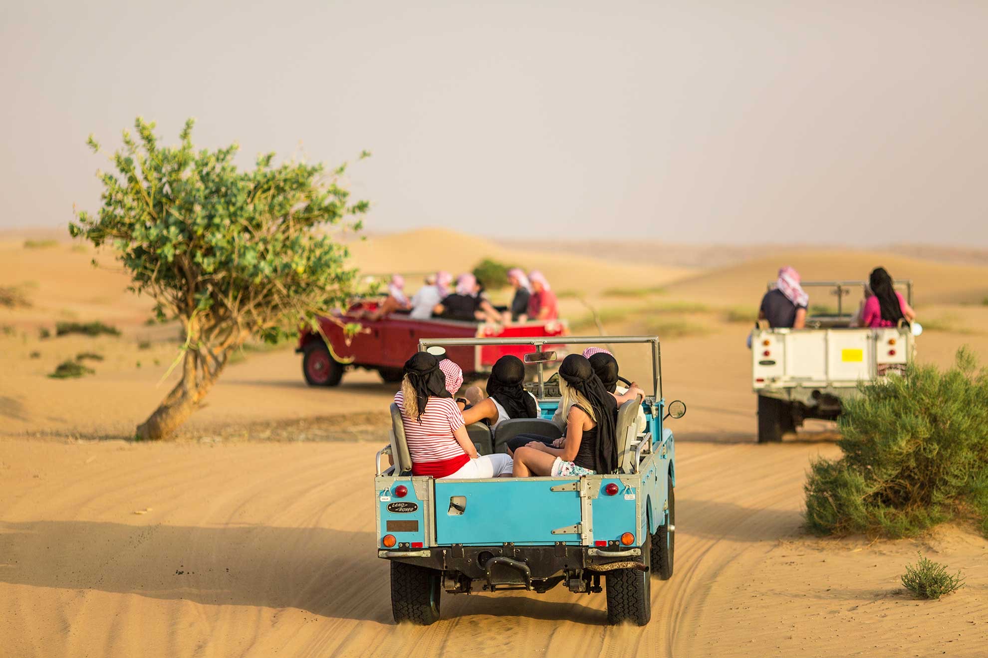 Jeep Safari